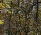 Продать Квартиры вторичка Школьная улица, 6   