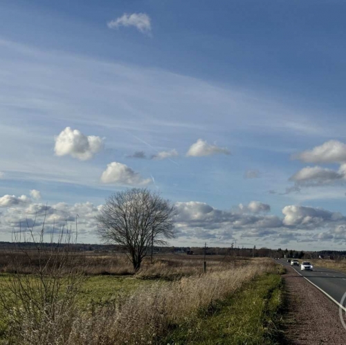 Земельный участок Лопухинка дер.