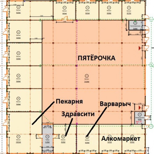 Торговое помещение Сосновый Бор г, Пионерская ул,  д. 4