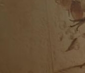 Сдать в аренду Квартиры вторичка Ленинский проспект, 95К2   