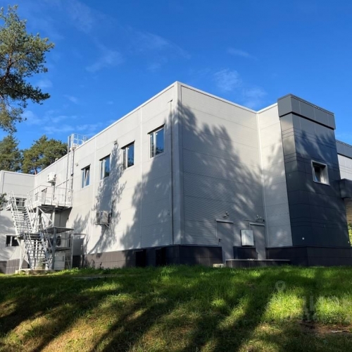 Помещение свободного назначения Сосновый Бор г, Липовский проезд,  д. 15