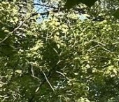 Продать Квартиры вторичка Бассейная улица, 5   