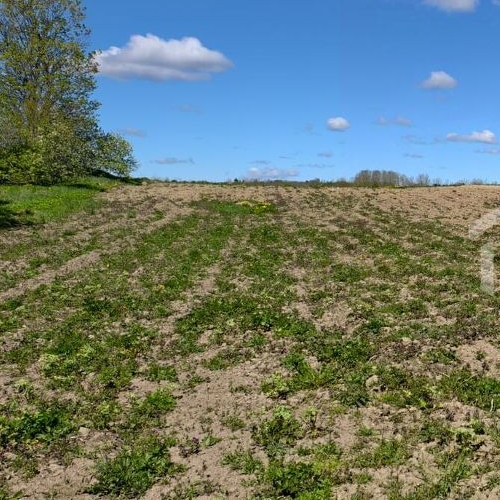 Коттедж/дом д. Муховицы, улица Ветеранов, 30