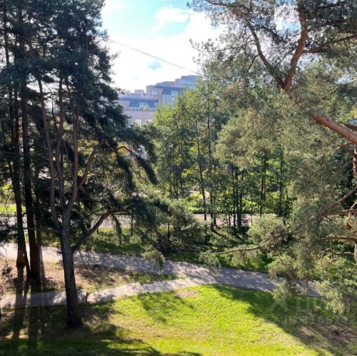 Помещение свободного назначения Сосновый Бор г, Липовский проезд,  д. 15