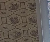 Продать Квартиры вторичка Витебский проспект, 79К1   