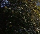 Продать Квартиры вторичка Краснопутиловская улица, 52   