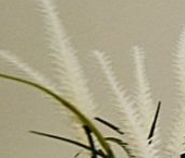 Продать Квартиры вторичка Планерная улица, 91к1   