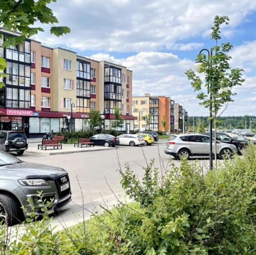 1-комн квартира Шолохово, Тенистая улица,  д. к17