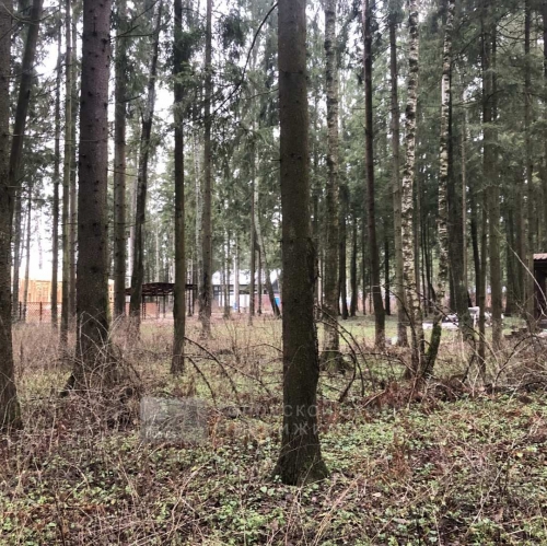 Земельный участок Мытищи г.,