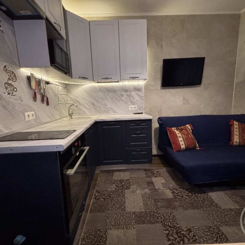 1-комн квартира Ветеранов просп.,  д. 171,  к. 5