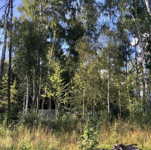 Земельный участок Мытищи г.,