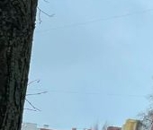 Сдать в аренду Квартиры вторичка улица Маршала Захарова, 60   