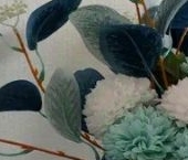 Сдать в аренду Квартиры вторичка проспект Ветеранов, 185к2   