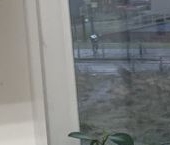 Продать Квартиры вторичка улица Плесецкая, 14   