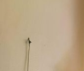 Продать Квартиры вторичка улица Пилотов, 28К3   