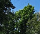 Продать Квартиры вторичка улица Костюшко, 10   