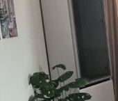 Сдать в аренду Квартиры вторичка проспект Ветеранов, 171к1   