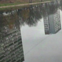 Аренда 1-комн квартиры на вторичном рынке Дорожный 3-й проезд,  д. 4К2