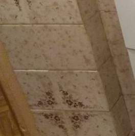 Аренда 1-комн квартиры на вторичном рынке Волгоградский проспект, 141к1 Аренда 1-комн квартиры на вторичном рынке Волгоградский проспект, 141к1