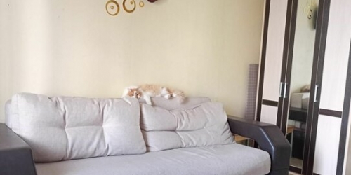 4-комн квартира Комсомольская 2-я ул,  д. 43