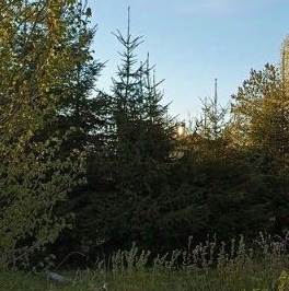 Продажа дома Актер СНТ, улица Концертная, д. 46 Продажа дома Актер СНТ, улица Концертная, д. 46