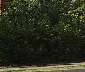 Продать Квартиры вторичка Красногорск, Успенская улица, 16   