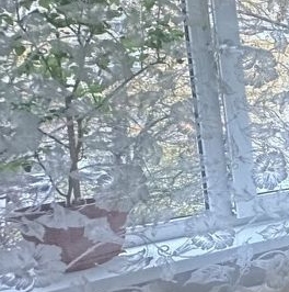 Аренда 2-комн квартиры на вторичном рынке Подольск, улица Циолковского, 11а