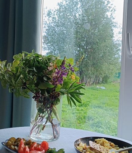 Коттедж/дом Тайцы садоводческий массив, Огонек СНТ,  д. 145