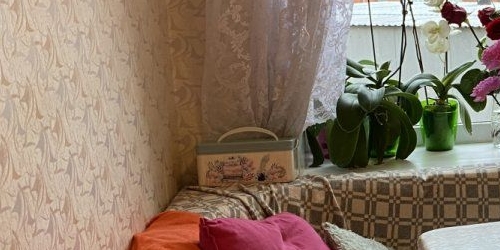 1-комн квартира Сестрорецк, Приморское шоссе, 270