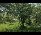 Продать Земельные участки, земля Малое Толбино, Луговая улица   