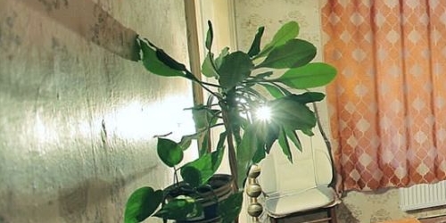 4-комн квартира 14-я Васильевского острова линия, 37