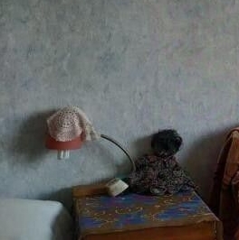 Продажа дома Борисова Грива садоводческий массив, Фурнитура СНТ