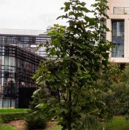 Продажа 3-комн квартиры на вторичном рынке улица Усачева, 15А