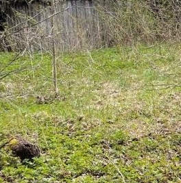 Продажа дома пос. Чулково, улица Центральная