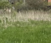 Продать Земельные участки, земля Пушкин, улица Старинная   