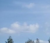 Продать Дачи, коттеджи, загородные дома д. Бор, улица Береговая   