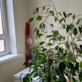 Продажа 2-комн квартиры на вторичном рынке Валентиновка, улица Горького,  д. 79 к2