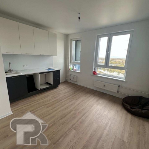 Студия село Ям, улица Мезенцева, 24