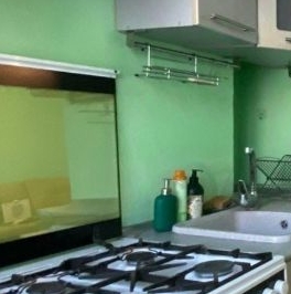 Аренда 2-комн квартиры на вторичном рынке Зеленый проспект, 65 Аренда 2-комн квартиры на вторичном рынке Зеленый проспект, 65