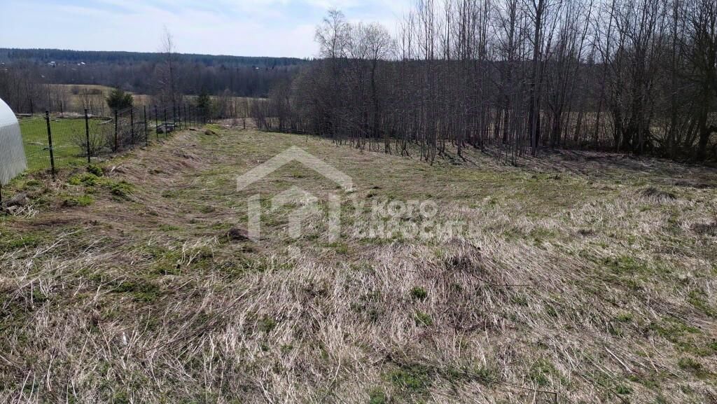 Продажа земли пос. Красноармейское, переулок Лесной