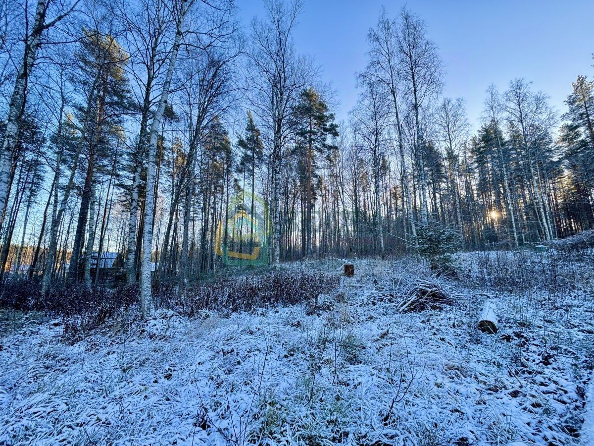 Продажа земли Речное СНТ, 161