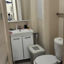 Продажа 1-комн квартиры на вторичном рынке Тарасовка, , Пушкино, ул Русакова,  д. 4