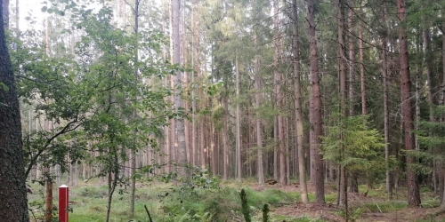 Земельный участок Зеленогорск г., Моховая ул. ,  д. 10