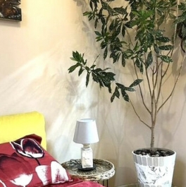 Аренда 4-комн квартиры на вторичном рынке ул Старобельская,  д. 4