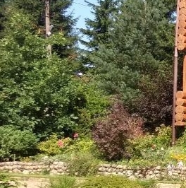 Продажа дома Вартемяки-3 ДНТ, 1-я линия Продажа дома Вартемяки-3 ДНТ, 1-я линия