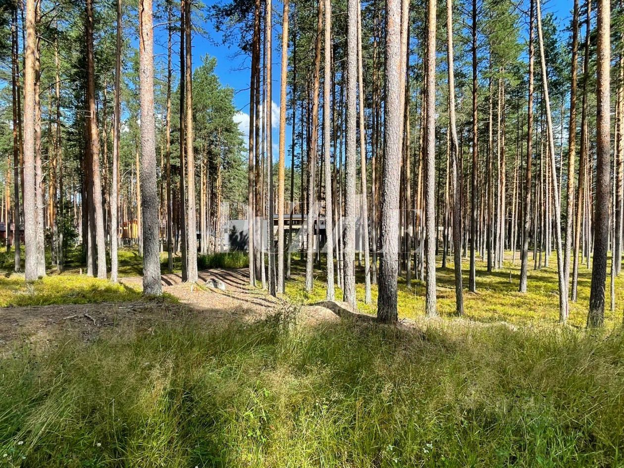 Продажа земли д. Варшко, улица Сосновая, 3