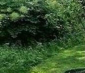 Продать Земельные участки, земля Светлана-1 СНТ  8 