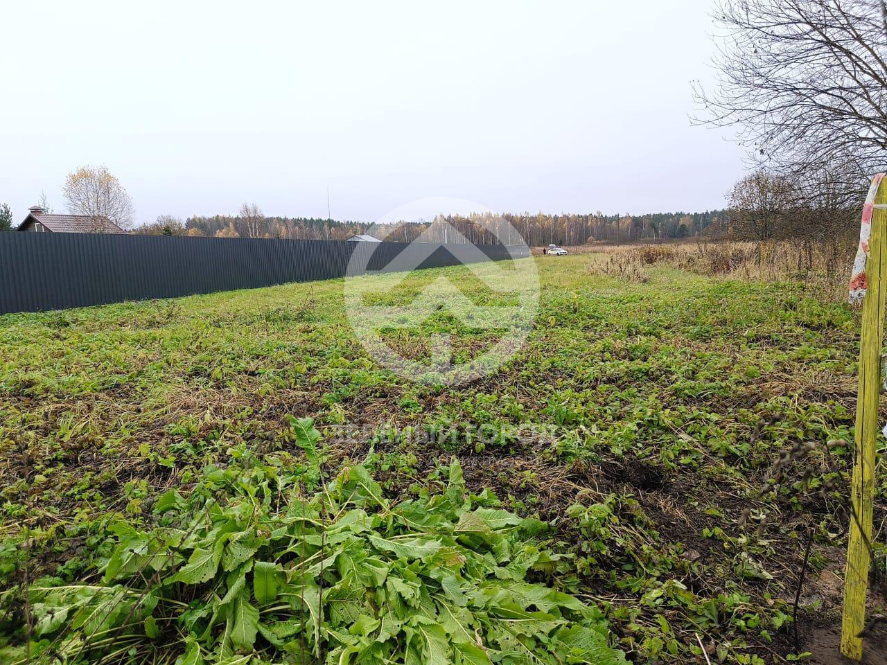 Продажа земли Васильково, участок 16 а