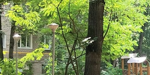 2-комн квартира Мартеновская улица, 22К2