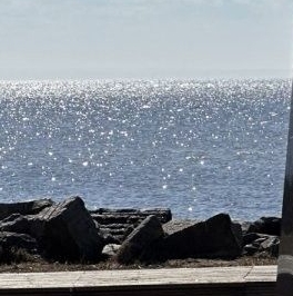 Продажа земли пос. Лисий Нос, Кольцевая улица, 16